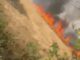 झज्जर के गांवों में आग का कहर, बिजली तारों की चिंगारी से फसल तबाह wheat crop damage