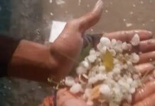 मौसम ने ली अचानक करवट, बारिश और ओलावृष्टि से हालात प्रभावित Sohna weather update