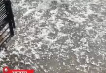 पंजाब में बदला मौसम का मिजाज, कई शहरों में ओलावृष्टि और तेज बारिश Punjab weather alert