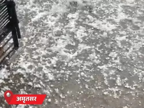 Punjab weather alert