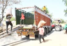 गेहूं खरीद का आंकड़ा बढ़ा, उठान तेज करने के निर्देश Jhajjar wheat procurement