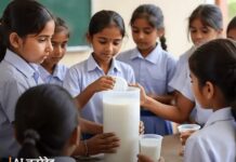 नए वित्तीय साल के साथ बदले नियम, आम लोगों पर पड़ेगा सीधा असर Haryana new rules April