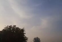 गर्मी का कहर चरम पर, कई शहरों में लू का प्रकोप; मौसम में बदलाव के संकेत Haryana heatwave