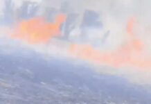 कटाई के दौरान उठी चिंगारी से फैली आग, कई एकड़ फसल खाक Kurukshetra fire