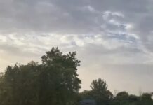 हरियाणा में मौसम ने फिर बदला मिजाज, ठंडी हवाओं संग हल्की बारिश की संभावना Haryana weather update