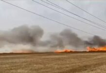 पंजाब-चंडीगढ़ में मौसम रहेगा स्थिर, हल्की ठंडक के बीच तापमान में उतार Punjab weather