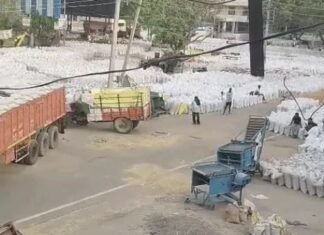 ई-खरीद व्यवस्था ठप, मंडियों में अटकी प्रक्रिया से बढ़ी परेशानी FCI e procurement