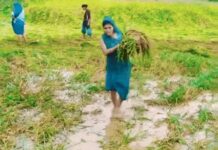 किसानों के लिए नई पहल, दूसरे राज्यों में सीखेंगे आधुनिक खेती के गुर Haryana farmers