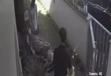 एम्बुलेंस में चूक से बिगड़ी हालत, बुजुर्ग मरीज के साथ गंभीर घटना Mohali ambulance incident