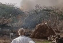 सिरसा में आग से राख हुई गेहूं की फसल, कई गांवों में किसानों को भारी नुकसान Sirsa wheat crop fire