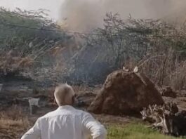 सिरसा में आग से राख हुई गेहूं की फसल, कई गांवों में किसानों को भारी नुकसान Sirsa wheat crop fire