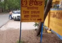 बढ़ी सरसों की कीमतें, बाजार में तेल महंगा होने से किसानों को राहत mustard price