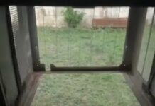 दफ्तर में लगातार चोरी, तीन दिन में खाली कर दिया सामान Panchkula theft case