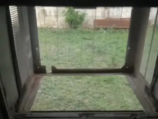 Panchkula theft case