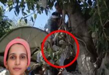 सचिवालय परिसर में हाई वोल्टेज ड्रामा, इंसाफ की मांग में बुजुर्ग ने उठाया खौफनाक कदम suicide attempt