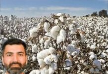 कपास किसानों को राहत में देरी, बढ़ी सब्सिडी पर फैसला अटका Cotton Farming
