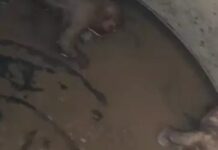 पानी की टंकी में मिले सड़े शव, स्वास्थ्य व्यवस्था पर उठे गंभीर सवाल medical college water contamination