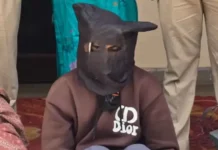 मेडिकल जांच के दौरान हिरासत से फरार हुआ आरोपी, प्रशासन में हड़कंप Fatehabad drug smuggler