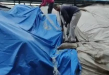 किसानों की मुश्किलें बढ़ीं, सिस्टम ठप और मौसम ने बिगाड़ी फसल Jhajjar farmers