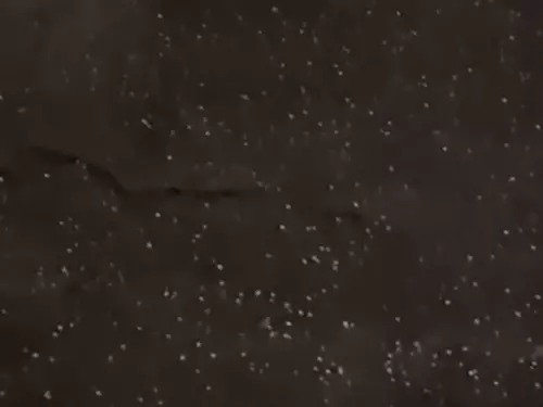 Western disturbance Haryana