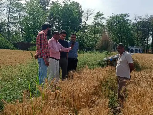 Panchkula crop survey