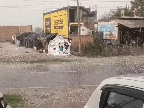 Haryana weather forecast