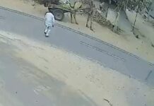 रोडवेज बस की चपेट में आया बुजुर्ग, सड़क हादसे में हालत नाजुक Bhiwani road accident