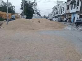 मंडियों में फसल का ढेर, उठान धीमा; मौसम ने बढ़ाई चिंता Bhiwani wheat lifting