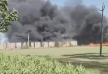प्लाईवुड फैक्ट्री में भीषण आग, गोदाम का सामान जलकर खाक Yamunanagar fire