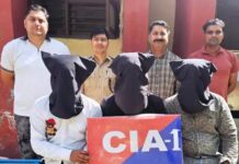 नशा तस्करी पर बड़ी चोट, 10 लाख की अफीम संग तीन आरोपी गिरफ्तार Kurukshetra drug case