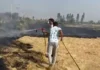 गौशाला का चारा आग की भेंट, लाखों का नुकसान Bhiwani fire