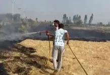 गौशाला का चारा आग की भेंट, लाखों का नुकसान Bhiwani fire