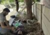बहादुरगढ़ पार्क में युवती की बेरहमी से हत्या, दोस्त पर भी जानलेवा हमला Bahadurgarh Murder
