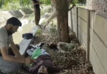बहादुरगढ़ पार्क में युवती की बेरहमी से हत्या, दोस्त पर भी जानलेवा हमला Bahadurgarh Murder