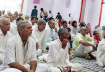 एनएसएस स्वयंसेवकों ने राहगीरों को पिलाया जल Government College Safidon