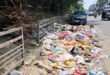 स्वच्छता सर्वेक्षण के बीच घरौंडा की सफाई व्यवस्था बिगड़ी, सड़कों पर दिखी गंदगी Gharaunda news