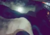 मेवात में पशु तस्करी पर बड़ा एक्शन, पुलिस ने बीच रास्ते रोका संदिग्ध वाहन Cow Smuggling
