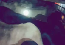 मेवात में पशु तस्करी पर बड़ा एक्शन, पुलिस ने बीच रास्ते रोका संदिग्ध वाहन Cow Smuggling