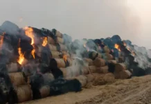 पराली के बड़े स्टॉक में भीषण आग, लाखों का नुकसान होने का दावा Crop Residue Fire