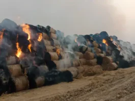 पराली के बड़े स्टॉक में भीषण आग, लाखों का नुकसान होने का दावा Crop Residue Fire