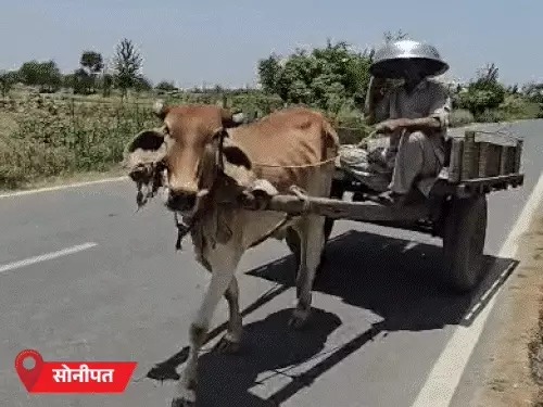 Haryana Weather
