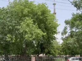 हरियाणा में भीषण गर्मी का असर तेज, कई जिलों में हीटवेव का अलर्ट जारी Haryana Heatwave