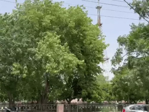 Haryana Heatwave