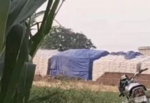 गेहूं विवाद को लेकर सक्रिय हुए किसान नेता, आज प्रशासन से करेंगे मुलाकात Kurukshetra news