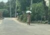 मौसम का डबल अटैक, कहीं बारिश-आंधी तो कहीं झुलसाने वाली गर्मी Haryana Weather