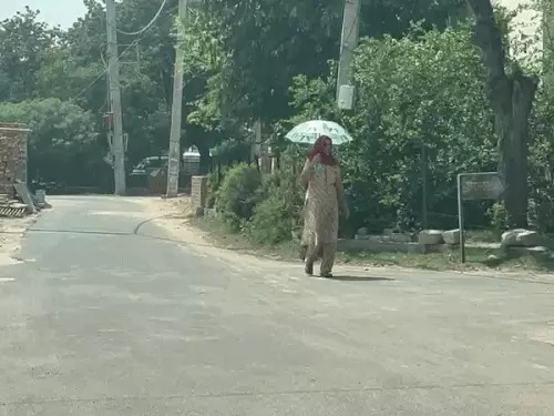 Haryana Weather