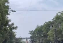 मौसम का बदला मिजाज: कहीं तेज गर्मी, कहीं ओलावृष्टि और धूलभरी हवाओं का असर Haryana Weather