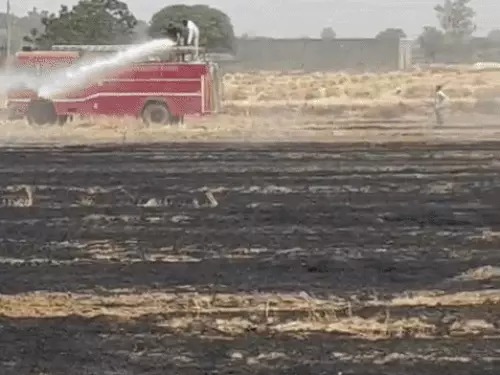 Haryana Farmers