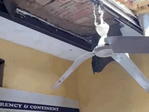 Faridabad school accident