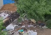 हरियाणा के कई जिलों में मौसम का कहर, तेज हवाओं के साथ बारिश और ओलों ने बढ़ाई परेशानी Haryana weather